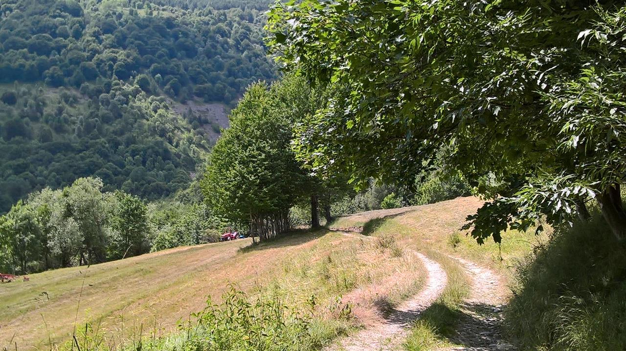 Hotel Dell' Olmo Ormea Экстерьер фото